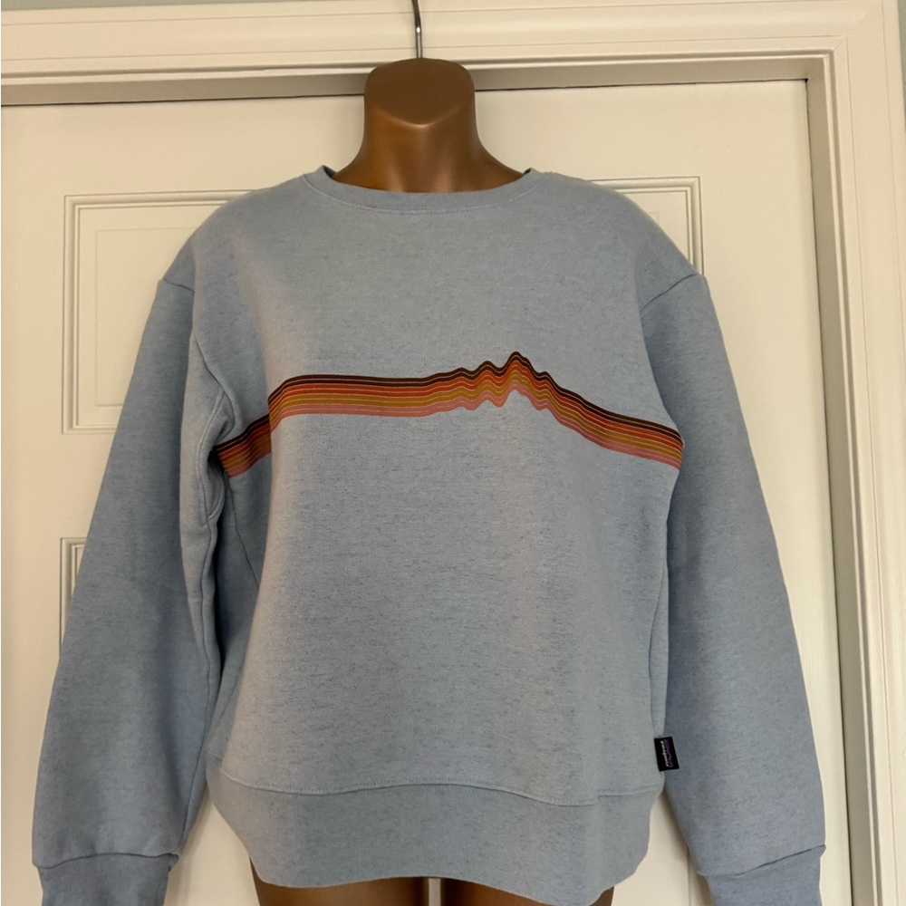 Patagonia Light Blue Crewneck Sweatshirt